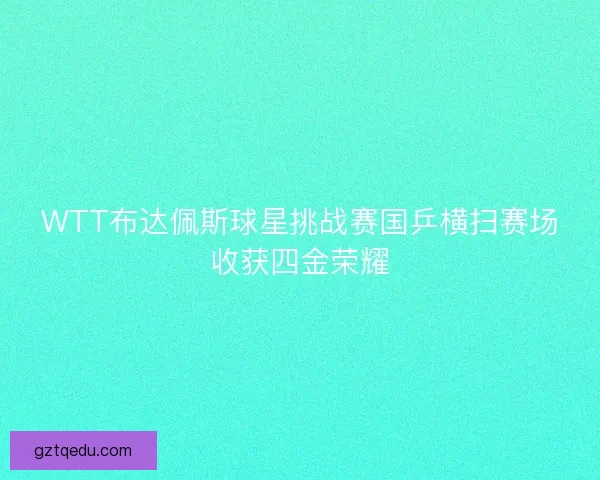 WTT布达佩斯球星挑战赛国乒横扫赛场收获四金荣耀