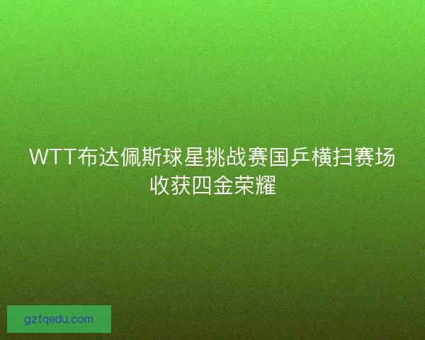 WTT布达佩斯球星挑战赛国乒横扫赛场收获四金荣耀